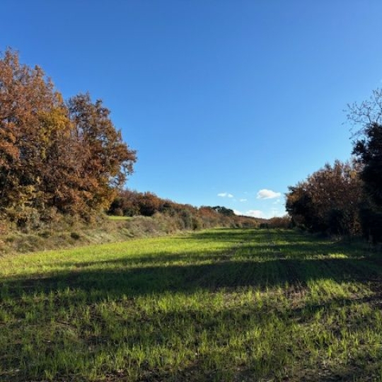 Annonces PONT DU GARD : Terrain | UZES (30700) | m2 | 57 000 € 