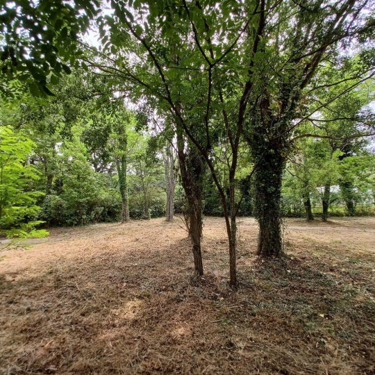  Annonces PONT DU GARD : Terrain | UZES (30700) | 0 m2 | 95 000 &euro; 