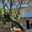  Annonces PONT DU GARD : Maison / Villa | UZES (30700) | 180 m2 | 451 500 &euro; 