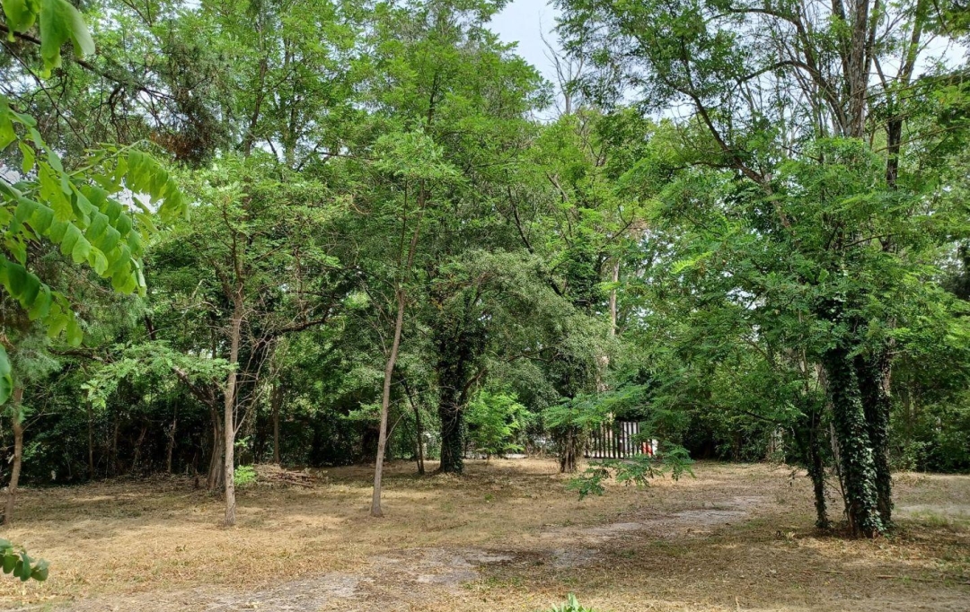 Annonces PONT DU GARD : Terrain | UZES (30700) | 0 m2 | 95 000 &euro; 