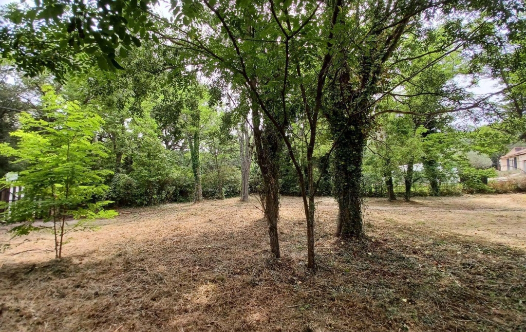 Annonces PONT DU GARD : Terrain | UZES (30700) | 0 m2 | 95 000 &euro; 
